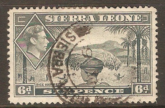 Sierra Leone 1938 6d Grey. SG195.